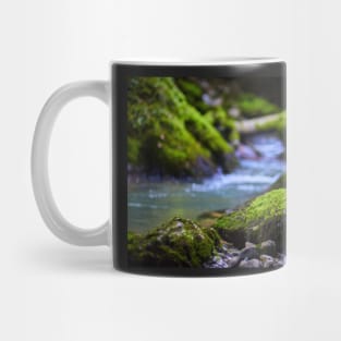 Mossy boulders in a river Mug